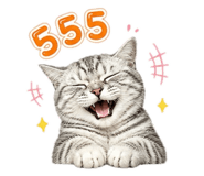 856941762