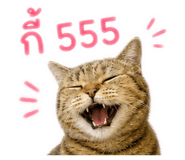 856942242