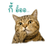 856942250
