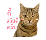 856942252