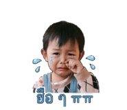 856942780