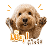 856942872