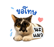 856942939
