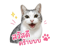856943065