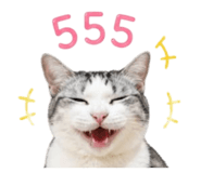856943067