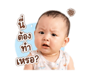 856943164