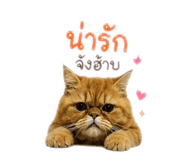 856943451
