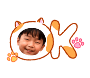 856943494