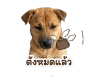 856943870