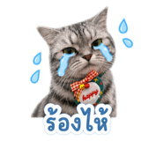 856944340
