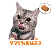 856944341