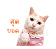 856944346