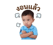 856944491