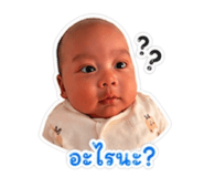 856944576