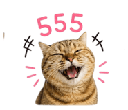 856944762