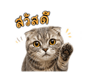 856944777
