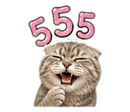 856944778