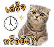 856944783