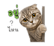 856944797