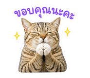 856945874