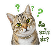 856945881