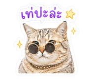 856945899