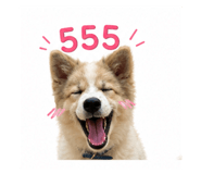 856946507