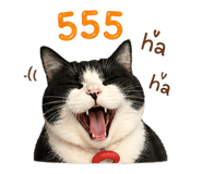 856946883