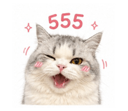 856947602