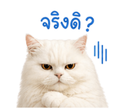 856948289