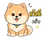 856948497