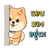 856948502