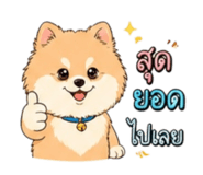 856948515