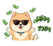 856948516