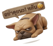 856948842
