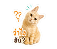 856950379
