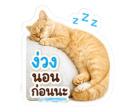 856950383