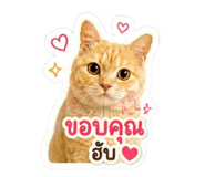 856950390