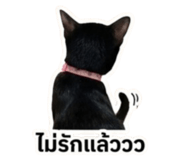 856950935