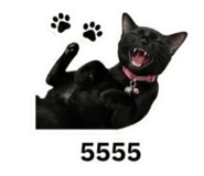 856950941
