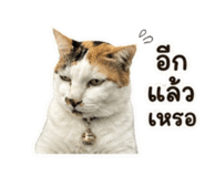 856951483
