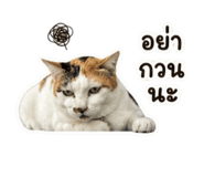 856951486