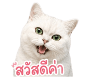 856951689
