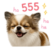 856951693