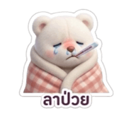856951778