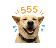 856954597