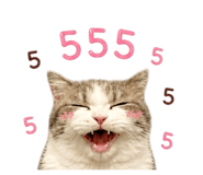 856954970