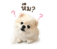 856955020