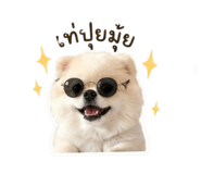 856955021