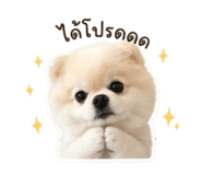 856955026